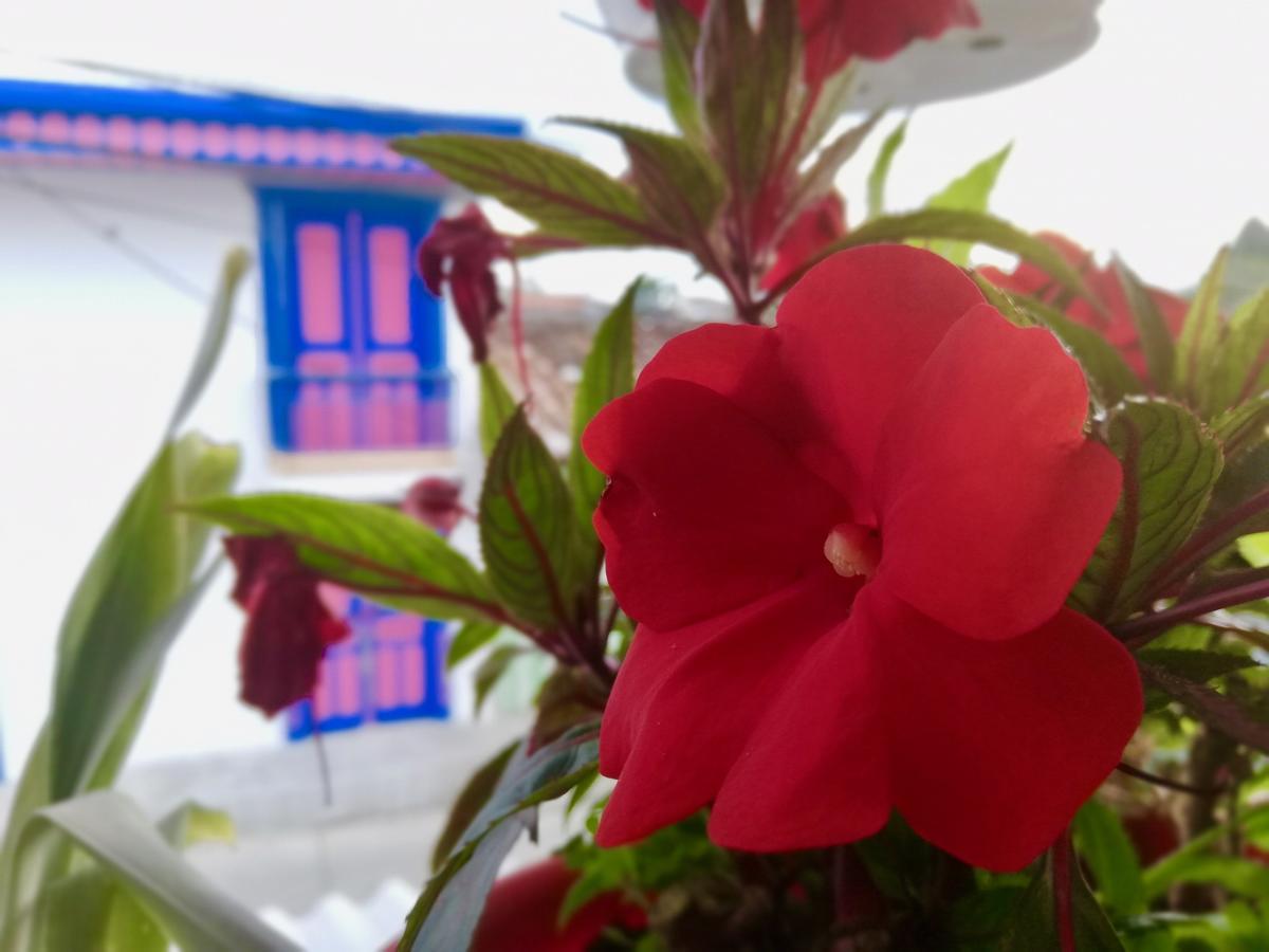 Posada Elenita Саленто Екстер'єр фото